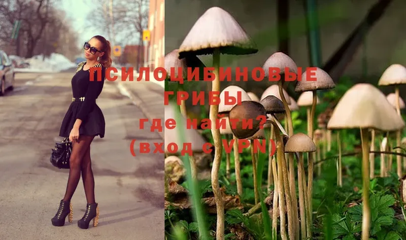 Псилоцибиновые грибы MAGIC MUSHROOMS  Туринск 